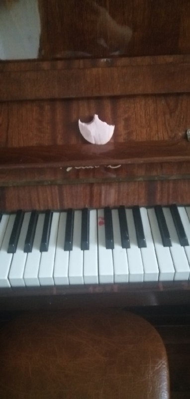 Create meme: piano , piano piano, piano 