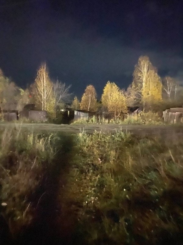 Create meme: night landscape , autumn in the village, late autumn