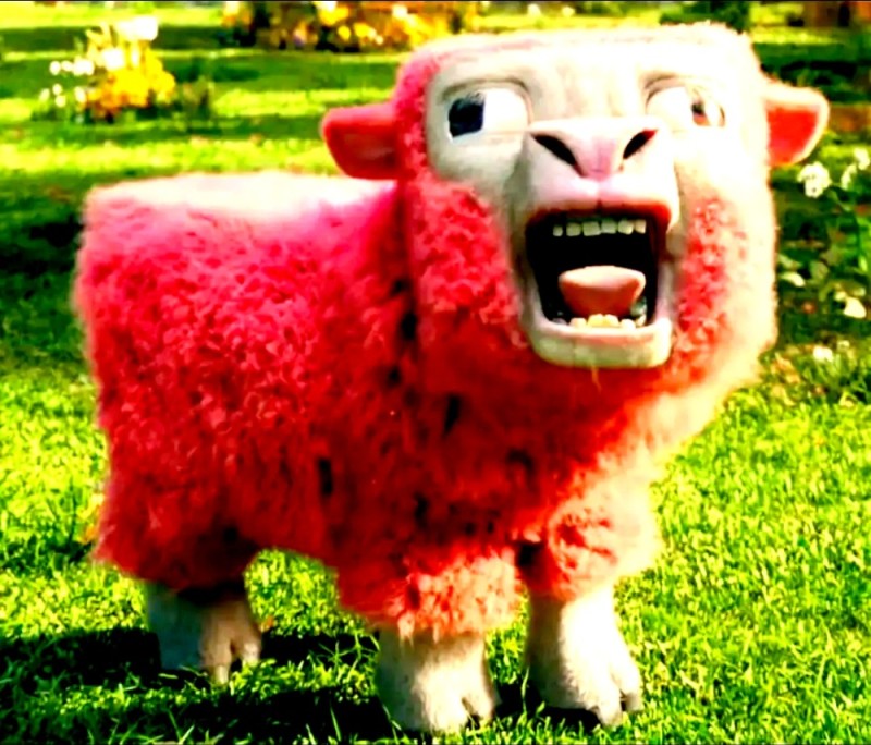 Create meme: The pink sheep, pink sheep, The red ram