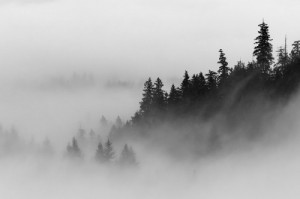 Create meme: slovak, pictures of the thick fog, forest fog switch