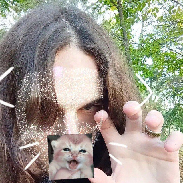 Create meme: people, girl , face with a cat