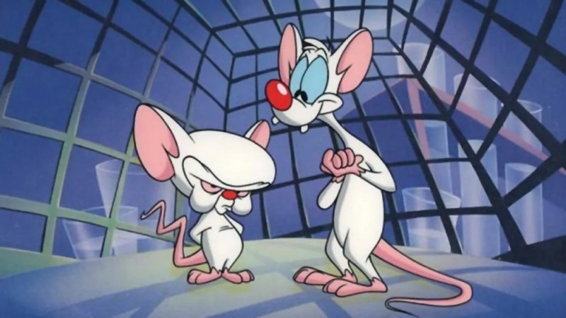Create meme: what are we doing today, brain, pinky and the brain animated series, pinky and brain meme
