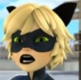 Create meme: super cat, Lady bug and super cat, miraculous ladybug cat noir