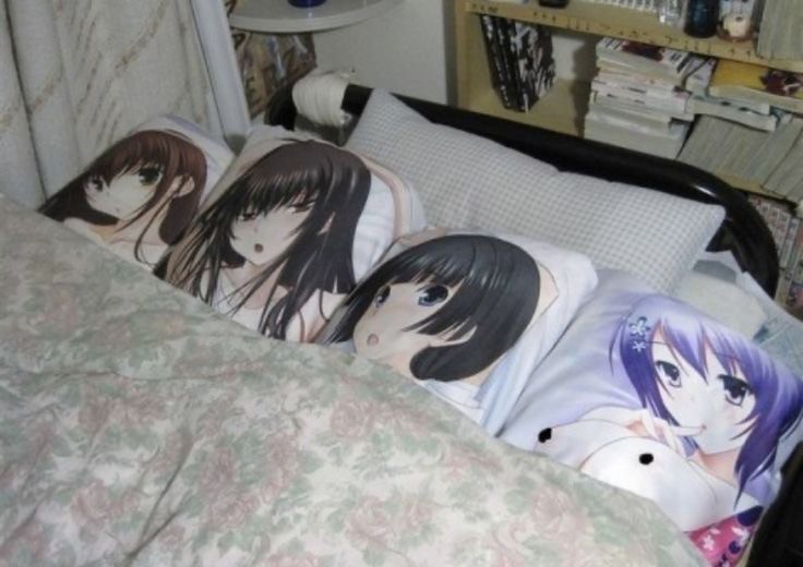 Create meme: anime dakimakura, pillow the dakimakura, Dakimakura anime Chan