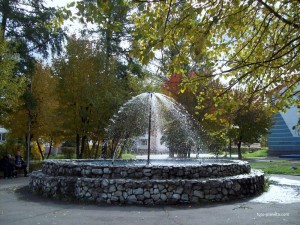 Создать мем: фонтан бауманка, фонтан в парке, нарымский сквер в новосибирске фонтан цветные фонтаны