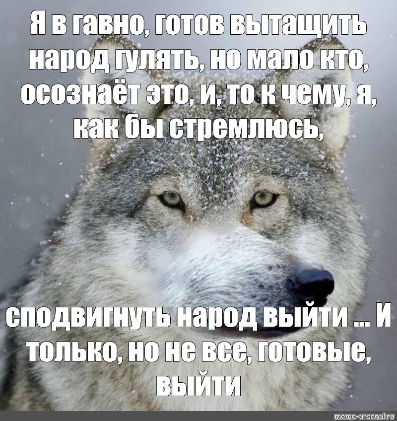 Сподвигло это. Волк Мем. Мемы с волками. Волчьи мемы. Мемы про Волков.