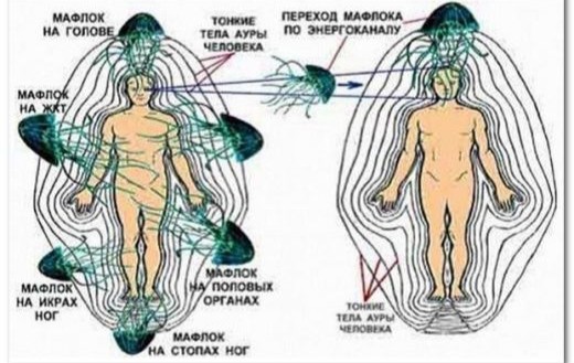 Create meme: larva essence, larvae are energy parasites, human aura