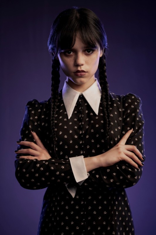 Create meme: wensdi Addams, wensday from the Addams family, the series wednesday addams