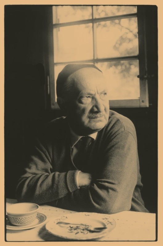 Create meme: Martin Heidegger , The anatomy of a scandal, Heidegger is a philosopher