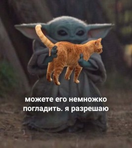 Создать мем: котэ, кот, коты