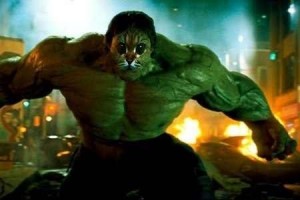 Создать мем: злой халк, невероятный халк, the incredible hulk