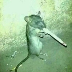 Create meme: rat, mouse with a cigarette, rat smokes