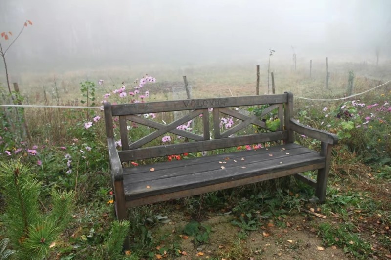 Create meme: a bench in the village, country bench, garden bench