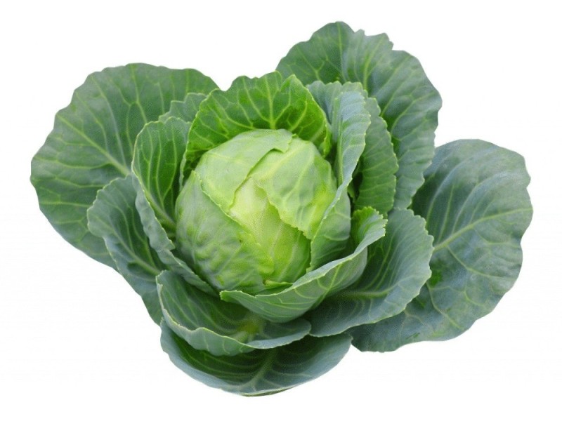 Create meme: cabbage, leafy cabbage, cabbage seeds