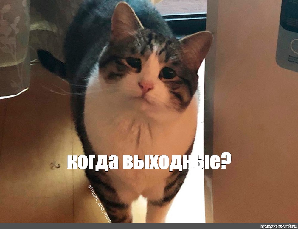 Когда будут выходные