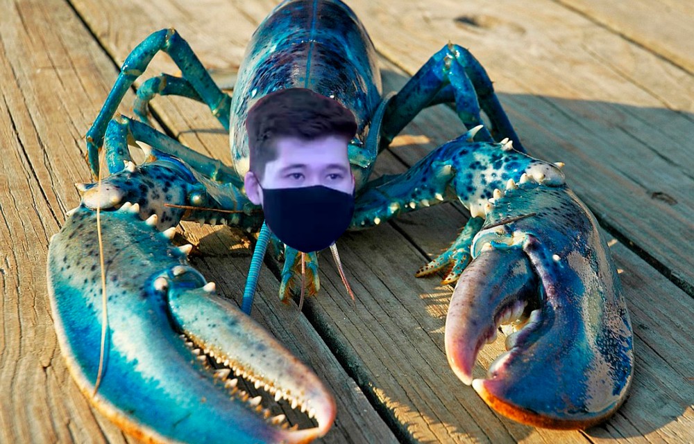 Lobster meme. Голубой американский Омар. Голубой лобстер. Синий лобстер Мем. Синий лобстер скример.