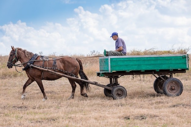 Create meme: a horse harnessed to a cart, horse and cart, horse and cart