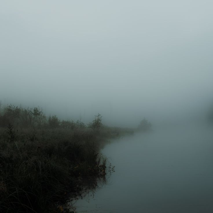 Create meme: fog on the ugra river, the fog in the swamp, May night, or the drowned woman