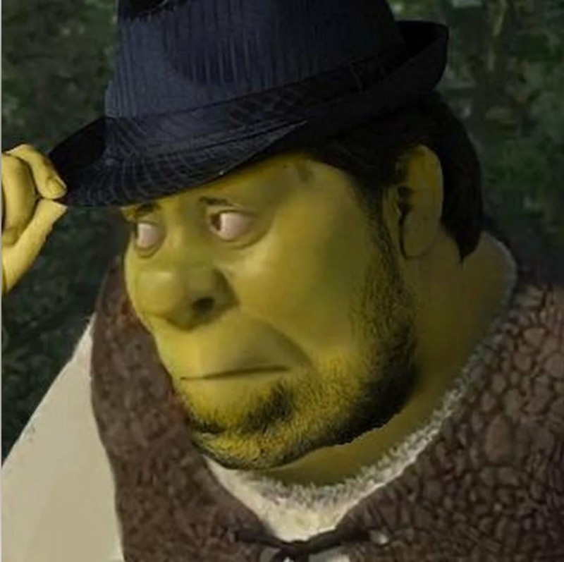 Create meme: the face of Shrek, meme Shrek , production of shrek