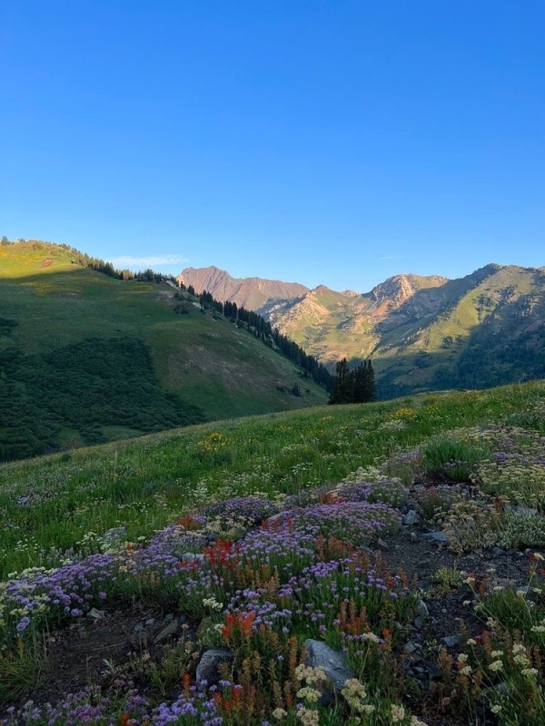 Create meme: alpine meadows, manaraga mountain, krasnaya polyana mountains