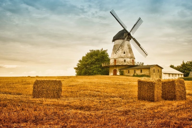 Create meme: mill, mill in the field, old mills