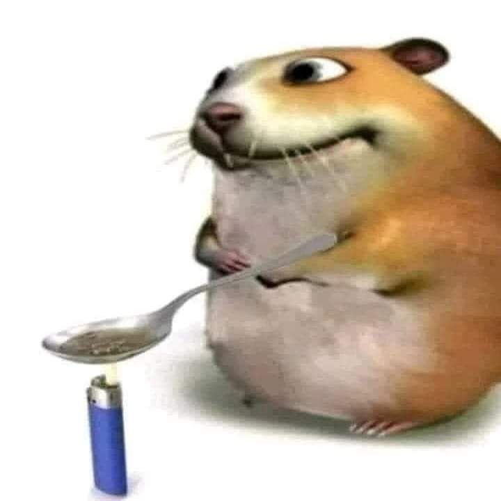 Create meme: hamster with a spoon and a lighter, hamster with a spoon, A hamster warms a spoon