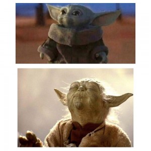 Create meme: master Yoda meme, master Yoda memes, Yoda memes