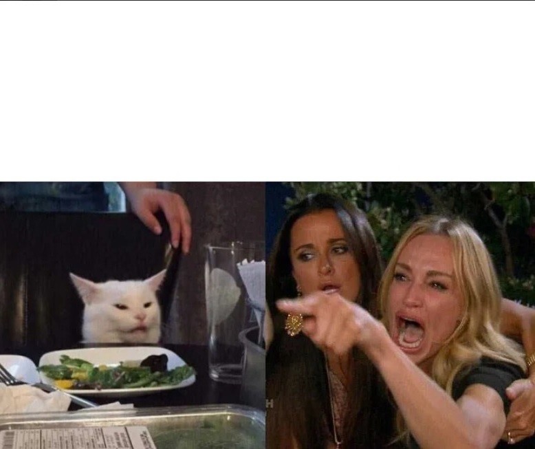 Create meme: meme with a cat and two women, cat and two girls meme, meme the cat at the table