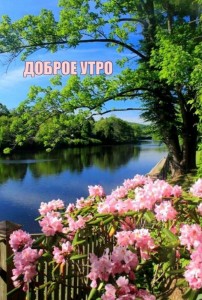 Create meme: spring landscape, spring nature