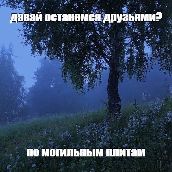 Создать мем: null