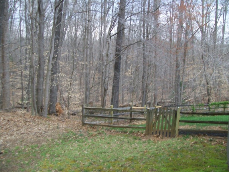 Create meme: country style fence, park in, autumn 