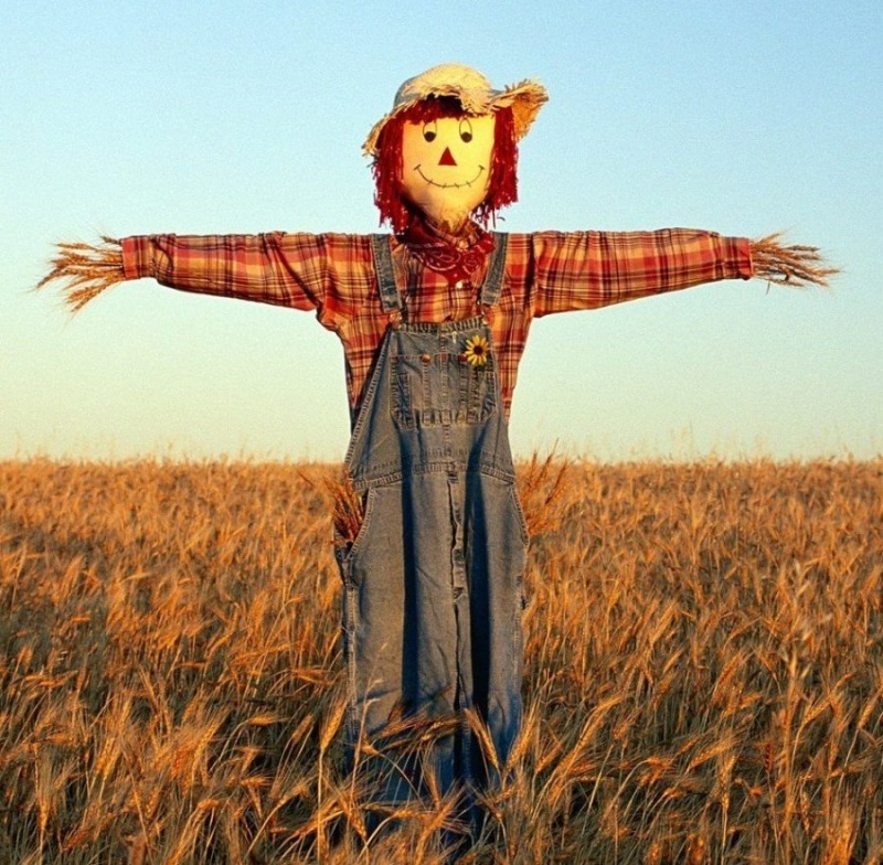 Create meme: scarecrow at the cottage, a straw scarecrow, A scarecrow in a field