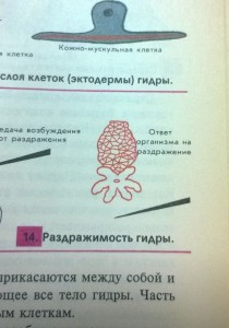 Создать мем: строение