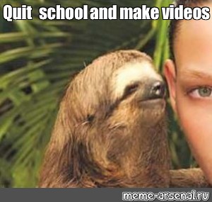 sloth memes do you like