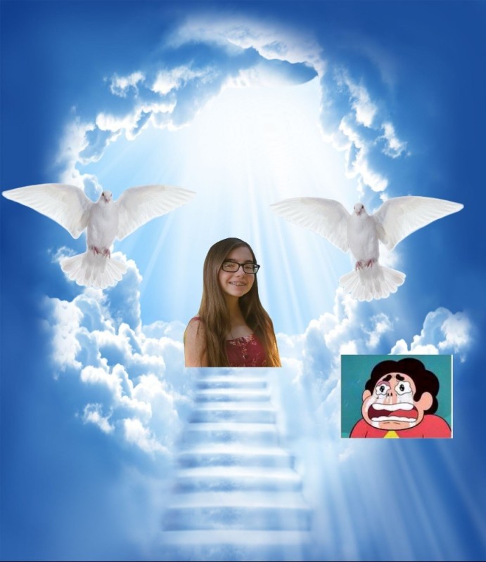 Create meme: Jesus Christ , sky pigeons, the ascension of the Lord