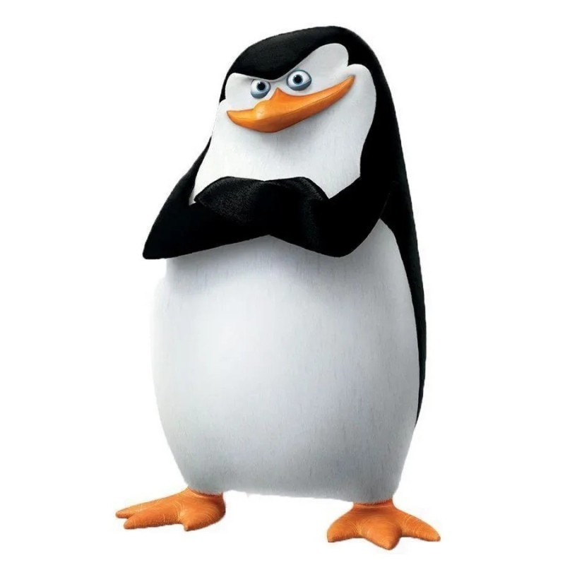 Create meme: penguin on a white background, penguin rico, the penguins of Madagascar skipper