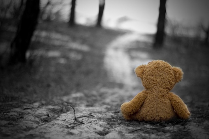 Create meme: the bear is sad, sadness loneliness, abandoned bear