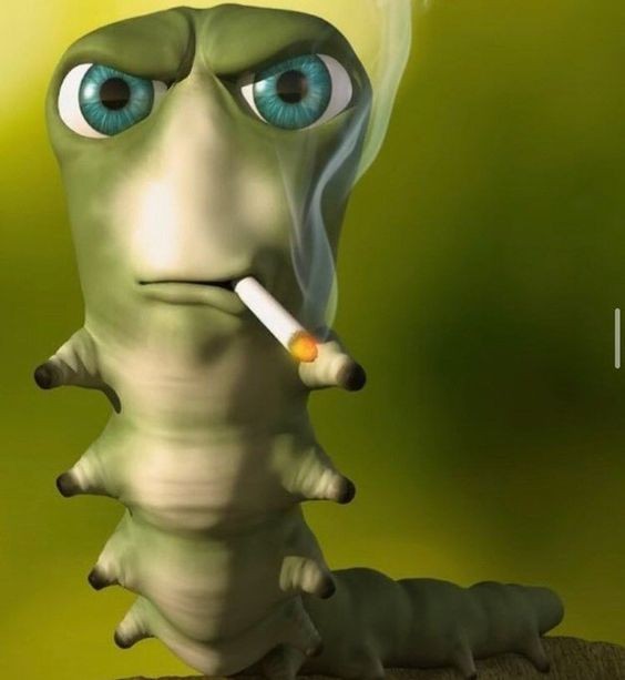 Создать мем: курящая гусеница мем, зелёный червь с сигаретой, червяк с сигаретой мем