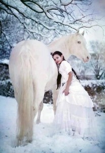 Создать мем: зимняя свадебная фотосессия с лошадьми, сказочная фотосессия с лошадью, фотосессия с белой лошадью