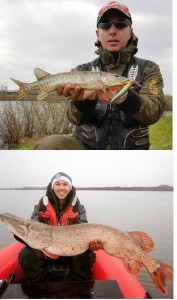 Create meme: pike, fishing at the theological reservoir, Moscow region, fishing in the bestuzhevka Samara region