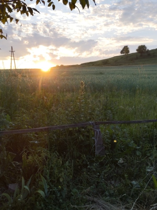 Create meme: sunset field, nature , The sun in the village