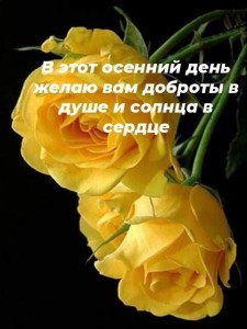 Create meme: yellow roses