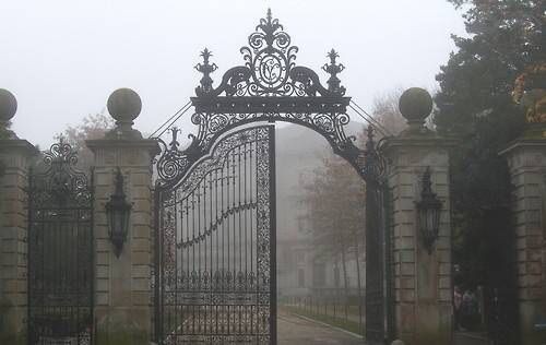 Create meme: Victorian Gothic gate, manor gates of the 19th century, beautiful wrought iron gates