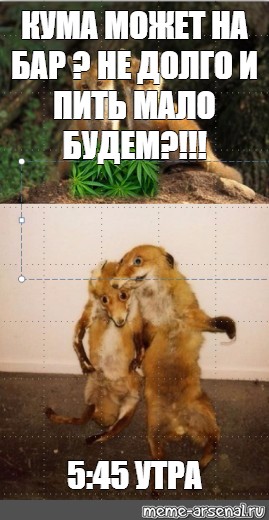 Кума мем