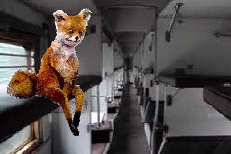 Create meme: second-class carriage , stoned Fox , fpc reserved seat upper side