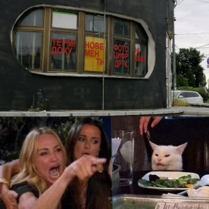 Create meme: memes with cats, fun, the meme with the cat at the table
