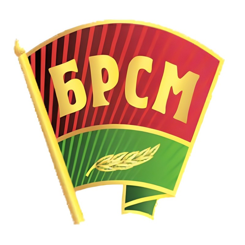 Create meme: brsm badge, brsm emblem, symbols of the brsm