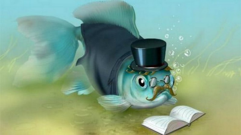 Create meme: The fish is smart, books about fish, fish in a hat