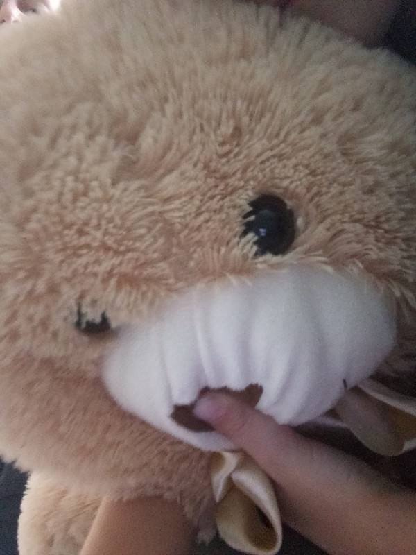 Create meme: teddy bear, bear is a soft toy, big Teddy bear 