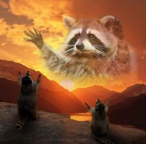 Create meme: raccoon gargle, enotik, raccoon animal